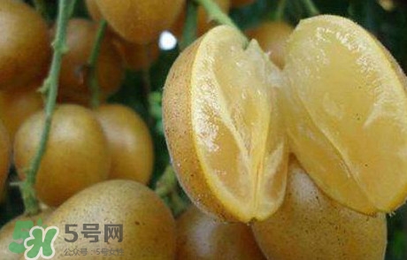 黃皮果多少錢一斤2017？黃皮果價(jià)格