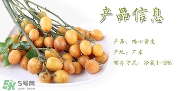 黃皮果什么時(shí)候成熟？黃皮果什么時(shí)候上市