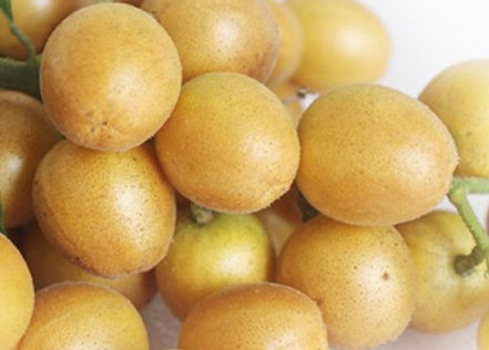 黃皮果有多少種顏色？黃皮果核有什么用處嗎