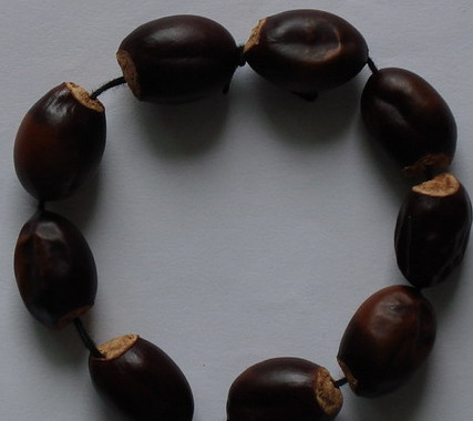 荔枝核能治糖尿病嗎？荔枝核可以降血糖嗎