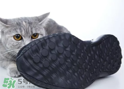 adidas alphabounce上腳怎么樣？阿迪達(dá)斯阿爾法小椰子測(cè)評(píng)