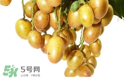 黃皮果什么時(shí)候成熟？黃皮果什么時(shí)候上市