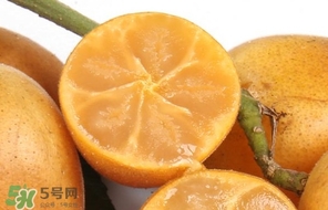 黃皮果怎么保存？黃皮果如何保存