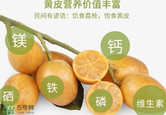 如何種植黃皮果？黃皮果怎么種植？