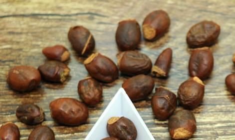 荔枝核能治糖尿病嗎？荔枝核可以降血糖嗎