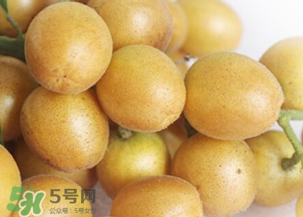 雞心黃皮幾年才掛果？雞心黃皮如何種植管理