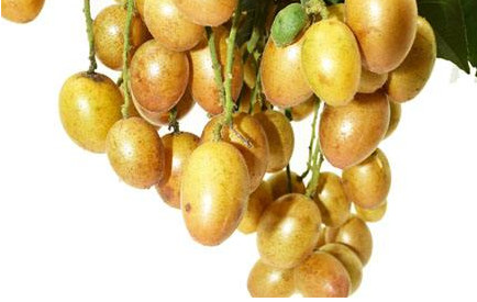 黃皮果有多少種顏色？黃皮果核有什么用處嗎