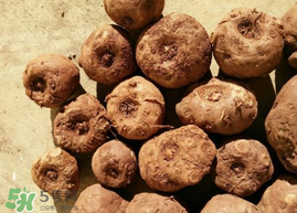 魔芋可以放冰箱嗎？魔芋能放冰箱冷藏嗎？