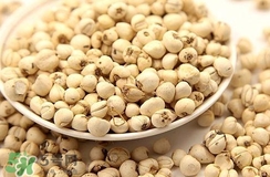 川貝母和川貝一樣嗎？川貝母與川貝的區(qū)別