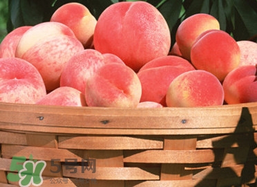 血桃產(chǎn)地在哪？血桃哪些地方產(chǎn)