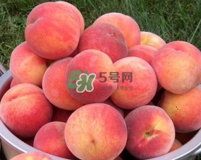 紅不軟桃?guī)自路莩墒?？紅不軟桃什么時(shí)候成熟