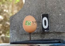 夏至雞蛋為什么立著？夏至是不是有吃雞蛋這個(gè)說(shuō)法？