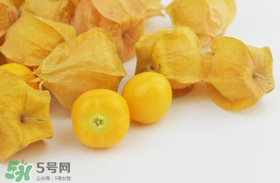 姑娘果什么時(shí)候成熟？姑娘果什么時(shí)候上市