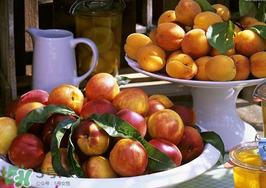 油桃和杏子能一起吃嗎？油桃能和杏子一起吃嗎？