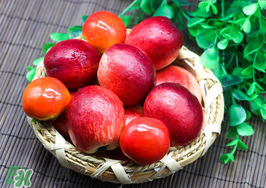 吃油桃會胖嗎？油桃的熱量多少？