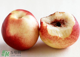 吃油桃會拉肚子嗎？拉肚子可以吃油桃嗎？