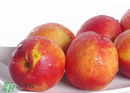 吃油桃會拉肚子嗎？拉肚子可以吃油桃嗎？