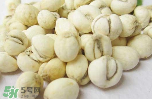 川貝母和川貝一樣嗎？川貝母與川貝的區(qū)別