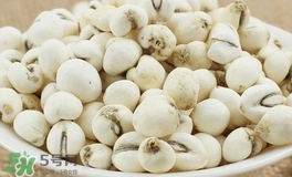 川貝母和川貝一樣嗎？川貝母與川貝的區(qū)別