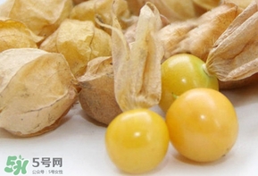 姑娘果什么時(shí)候成熟？姑娘果什么時(shí)候上市