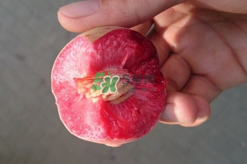 血桃多少錢一斤2017？血桃哪個品種最好吃