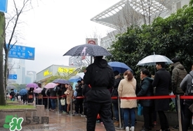 鮑師傅糕點(diǎn)有幾家_鮑師傅糕點(diǎn)所有分店_鮑師傅真假