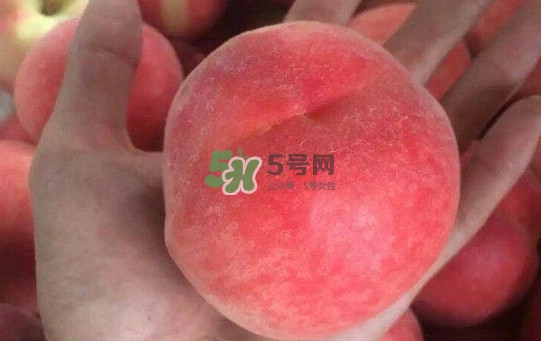 紅不軟桃?guī)自路莩墒欤考t不軟桃什么時(shí)候成熟