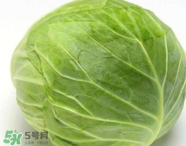 圓白菜是什么菜？圓白菜能生吃嗎？