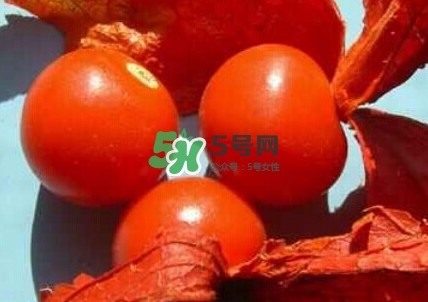 姑娘果是什么果？姑娘果怎么吃