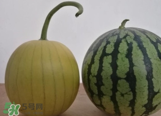 四色瓤西瓜是轉(zhuǎn)基因嗎？四色瓤西瓜是不是轉(zhuǎn)基因？