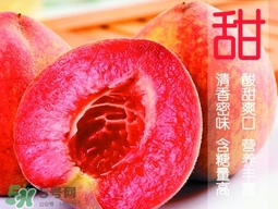 血桃?guī)自鲁墒?？血桃有什么營(yíng)養(yǎng)價(jià)值