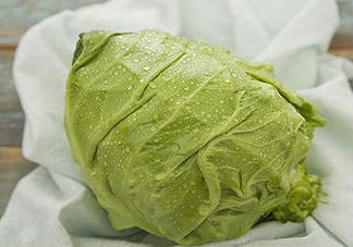 圓白菜是包菜嗎？圓白菜是大頭菜嗎？