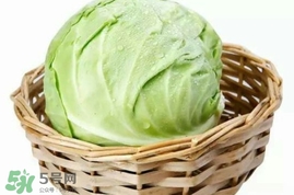 圓白菜是卷心菜嗎？圓白菜是不就是卷心菜