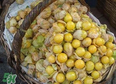 花姑娘水果怎么吃？花姑娘水果吃之前要洗嗎？