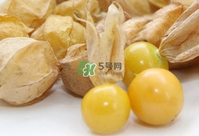 姑娘果多少錢一斤2017？姑娘果哪里有賣