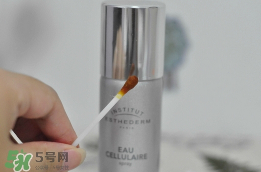 雅詩敦活顏補(bǔ)水噴霧怎么樣_好用嗎 雅詩敦活顏補(bǔ)水噴霧怎么樣_好用嗎