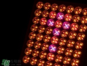 exideal小排燈原理 exideal小排燈副作用危害 exideal小排燈原理 exideal小排燈副作用危害