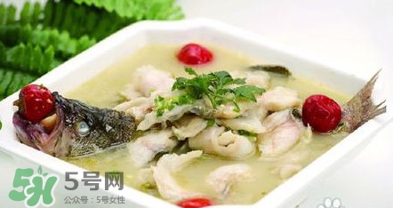 哺乳期能吃鱸魚嗎？哺乳期可以吃鱸魚嗎