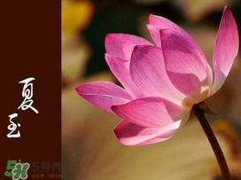 2017年夏至?xí)掠陠?？夏至下雨有什么說法？