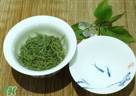 信陽毛尖什么牌子好？信陽毛尖哪個(gè)品牌好