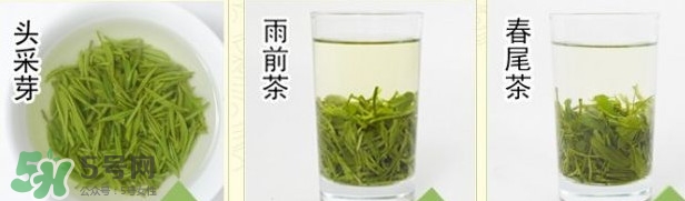 信陽毛尖什么牌子好？信陽毛尖哪個(gè)品牌好