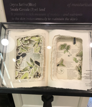 去韓國(guó)買什么化妝品 韓國(guó)什么化妝品值得買 去韓國(guó)買什么化妝品 韓國(guó)什么化妝品值得買