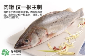 鱸魚是海鮮嗎？鱸魚是不是海鮮？
