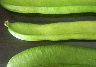刀豆是四季豆嗎？刀豆和四季豆的區(qū)別