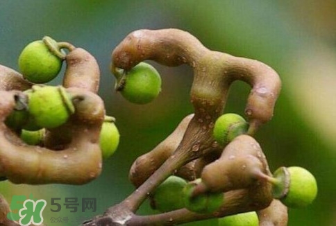 萬壽果多少錢一斤2017？萬壽果什么時(shí)候成熟