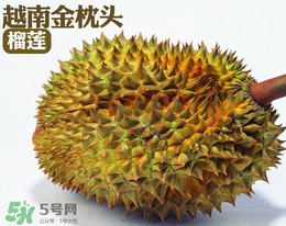 紅心榴蓮多少錢(qián)一斤？紅心榴蓮為什么這么貴？