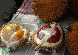 紅心榴蓮多少錢(qián)一斤？紅心榴蓮為什么這么貴？