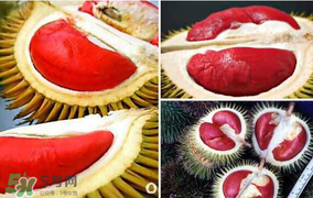 紅心榴蓮叫什么？紅心榴蓮是哪個國家產(chǎn)的？