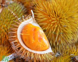 紅心榴蓮是轉(zhuǎn)基因的嗎？紅心榴蓮是不是轉(zhuǎn)基因？