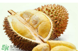 紅心榴蓮是轉(zhuǎn)基因的嗎？紅心榴蓮是不是轉(zhuǎn)基因？